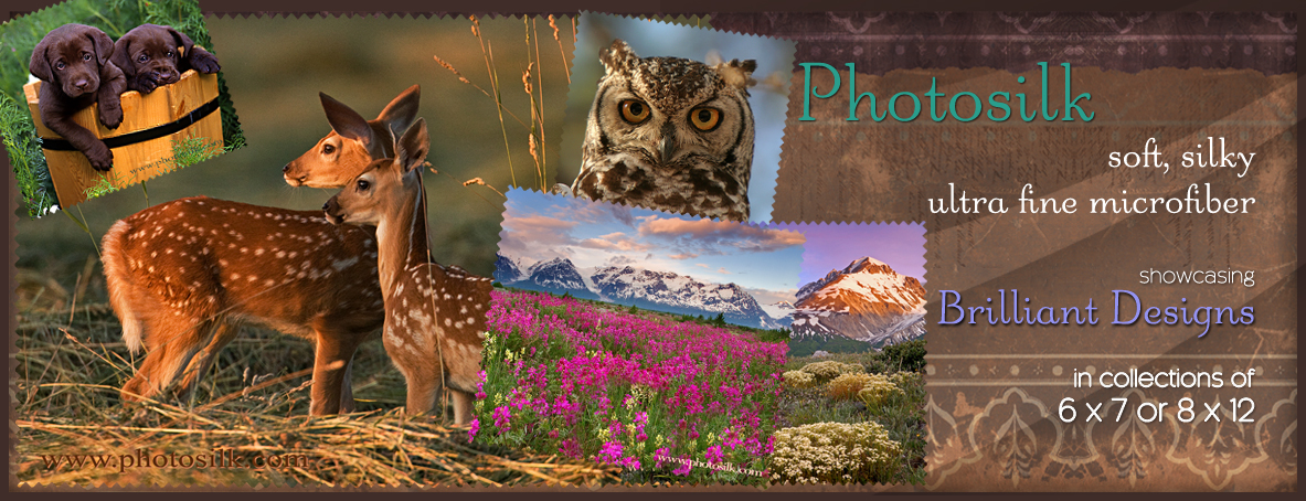 Photosilk